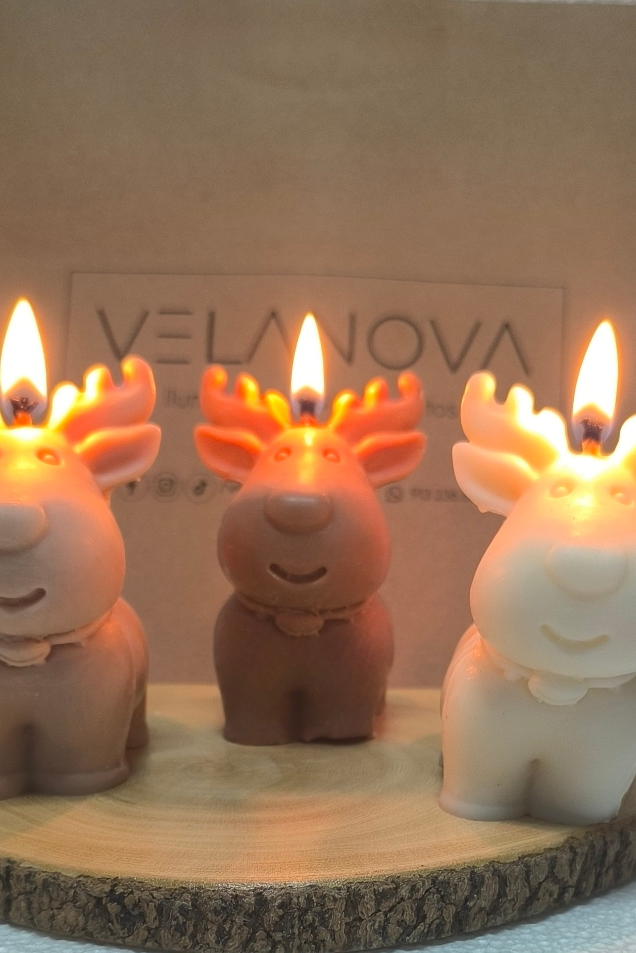 Vela Reno Rudolf x9cm - 145gr